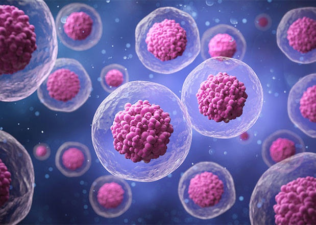 We Set The Standard For Stem Cell Therapy